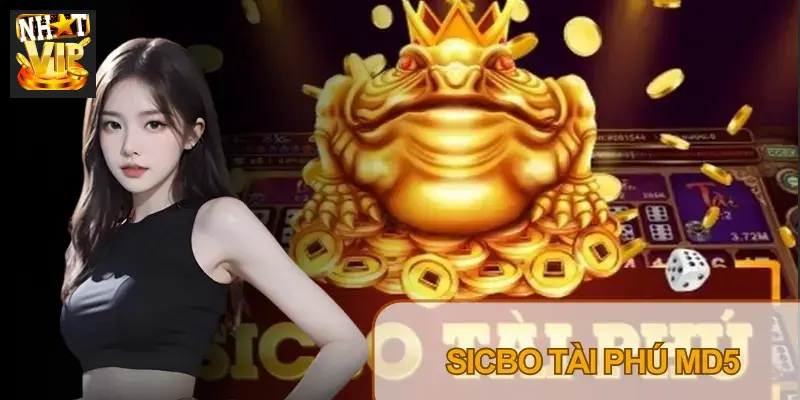 Sicbo Tài Phú MD5 Nhatvip: Cách Check Mã MD5 & Mẹo Bắt Cầu Tài Xỉu (2026) Sicbo Tài Phú MD5 Nhatvip: Cách Check Mã MD5 & Mẹo Bắt Cầu Tài Xỉu (2026)